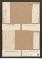 Fragilaria capucina Desm. (de-Toni-Nr.: Genus 73, Species 2734) Zeichnungen Sammlung Grunow Nr. 5593 (NHMW-BOT-W0374067)